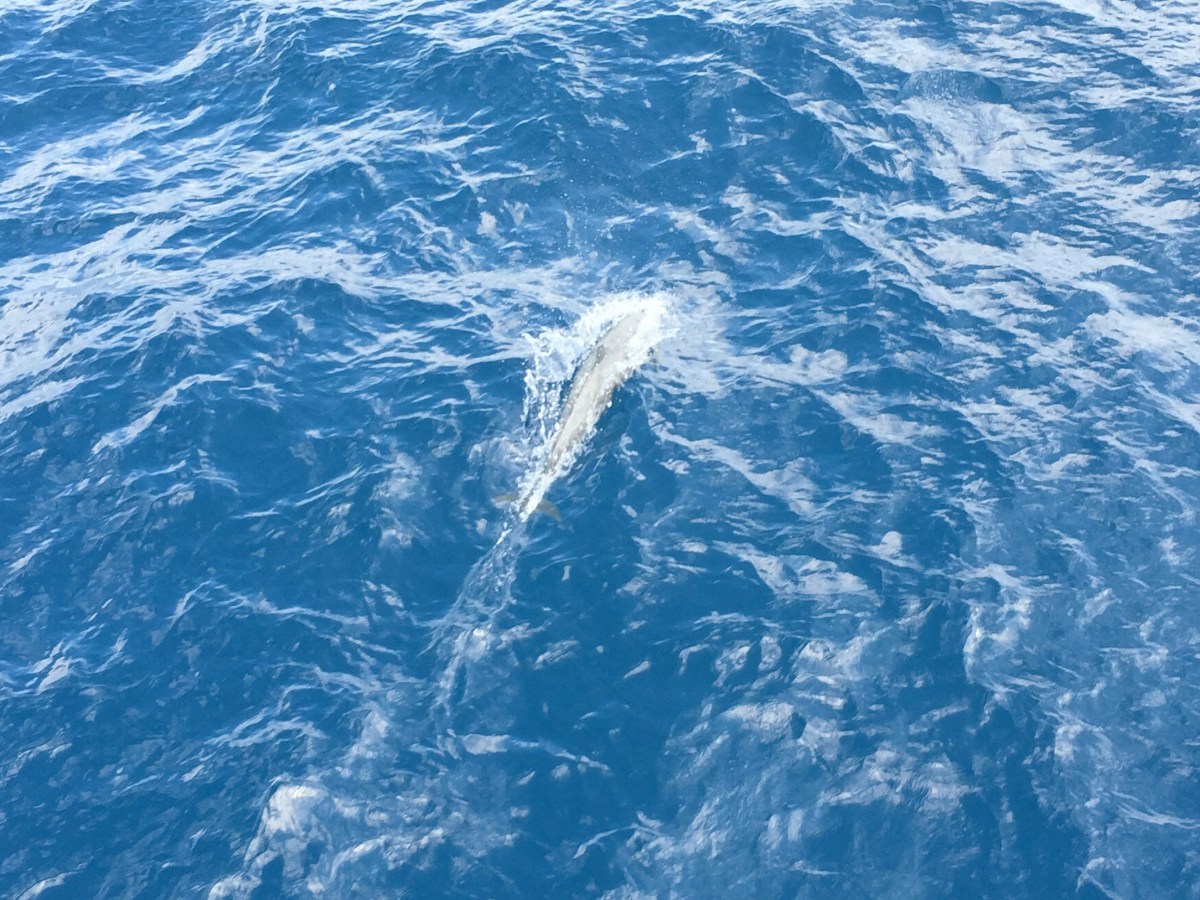 I Have Just Wrapped Up One Of The Most Amazing Days Of My&nbsp;Life