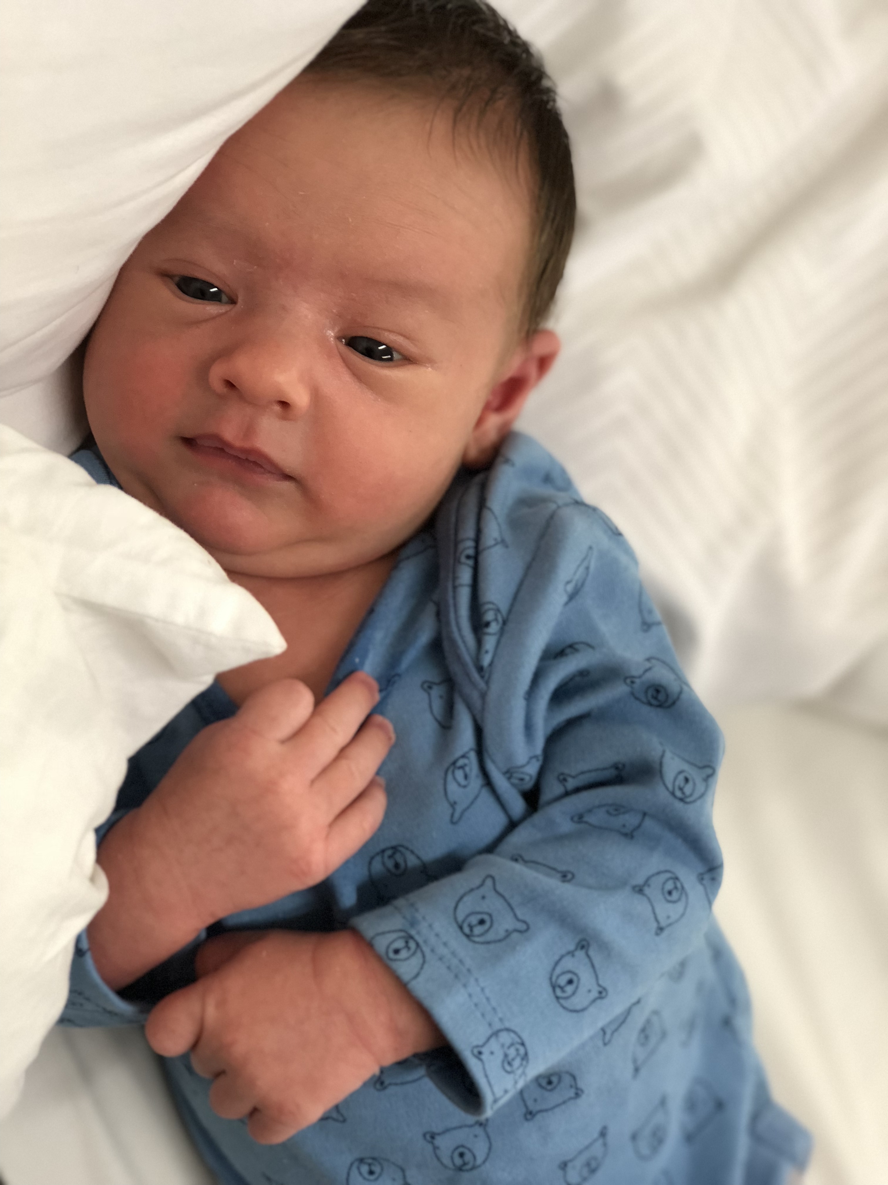 Two week old baby boy