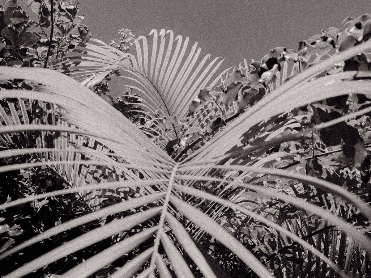 Who knows… maybe I’ll start writing&nbsp;again.