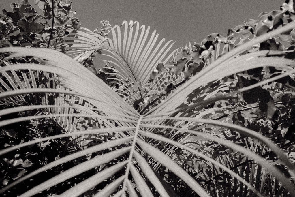 Who knows… maybe I’ll start writing&nbsp;again.